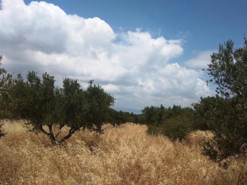 Kefalas Chania Grundstück mit Meerblick in traditionellem Dorf auf Kreta Grundstück kaufen